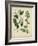 Cottage Florals I-Sydenham Teast Edwards-Framed Art Print