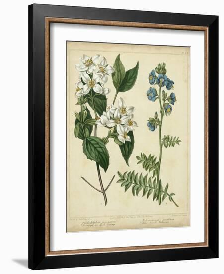 Cottage Florals I-Sydenham Teast Edwards-Framed Art Print