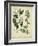 Cottage Florals I-Sydenham Teast Edwards-Framed Art Print