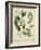 Cottage Florals I-Sydenham Teast Edwards-Framed Art Print