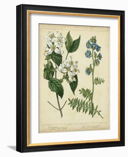 Cottage Florals I-Sydenham Teast Edwards-Framed Art Print