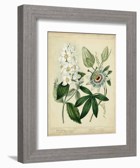 Cottage Florals II-Sydenham Teast Edwards-Framed Premium Giclee Print