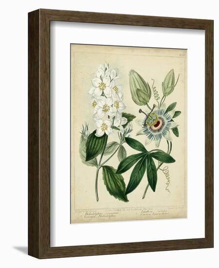 Cottage Florals II-Sydenham Teast Edwards-Framed Premium Giclee Print