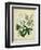 Cottage Florals II-Sydenham Teast Edwards-Framed Premium Giclee Print