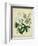 Cottage Florals II-Sydenham Teast Edwards-Framed Premium Giclee Print