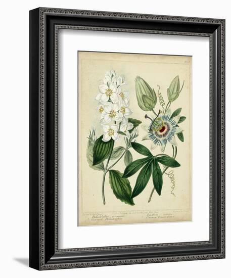 Cottage Florals II-Sydenham Teast Edwards-Framed Premium Giclee Print