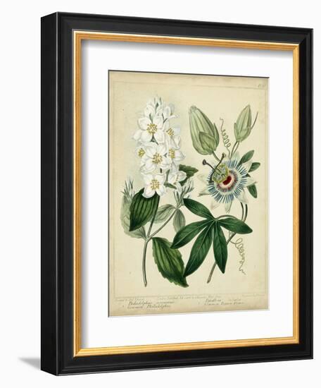 Cottage Florals II-Sydenham Teast Edwards-Framed Premium Giclee Print