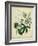 Cottage Florals II-Sydenham Teast Edwards-Framed Art Print