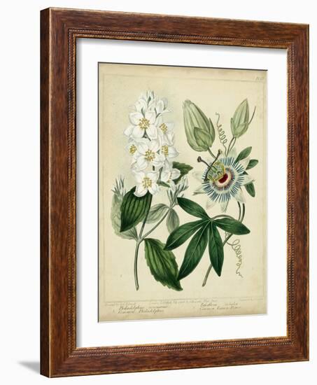 Cottage Florals II-Sydenham Teast Edwards-Framed Art Print