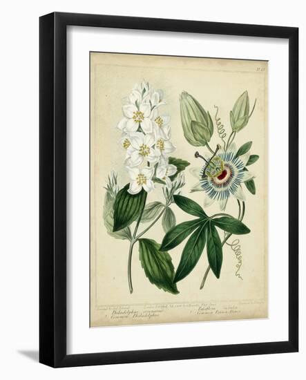 Cottage Florals II-Sydenham Teast Edwards-Framed Art Print