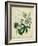 Cottage Florals II-Sydenham Teast Edwards-Framed Art Print