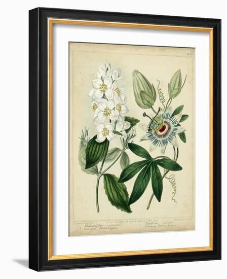 Cottage Florals II-Sydenham Teast Edwards-Framed Art Print