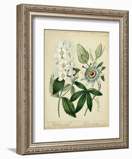 Cottage Florals II-Sydenham Teast Edwards-Framed Art Print