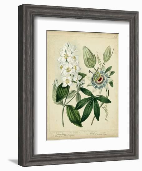 Cottage Florals II-Sydenham Teast Edwards-Framed Art Print