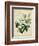 Cottage Florals II-Sydenham Teast Edwards-Framed Art Print