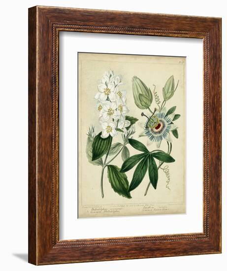 Cottage Florals II-Sydenham Teast Edwards-Framed Art Print