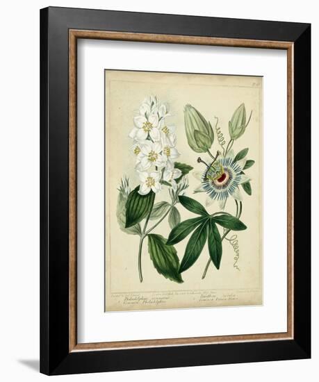 Cottage Florals II-Sydenham Teast Edwards-Framed Art Print