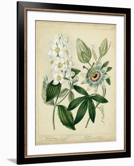 Cottage Florals II-Sydenham Teast Edwards-Framed Art Print