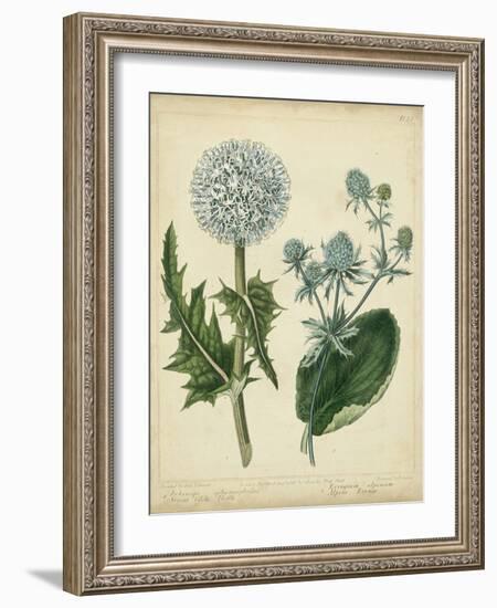 Cottage Florals III-Sydenham Teast Edwards-Framed Art Print