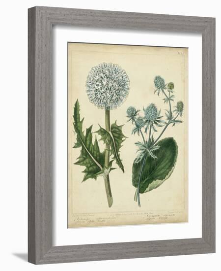 Cottage Florals III-Sydenham Teast Edwards-Framed Art Print