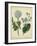 Cottage Florals III-Sydenham Teast Edwards-Framed Art Print