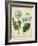 Cottage Florals III-Sydenham Teast Edwards-Framed Art Print