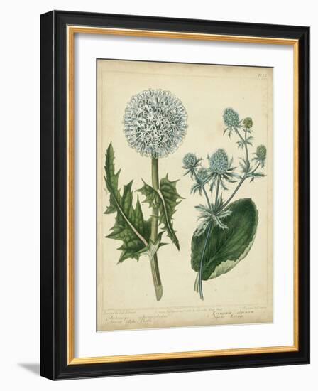 Cottage Florals III-Sydenham Teast Edwards-Framed Art Print