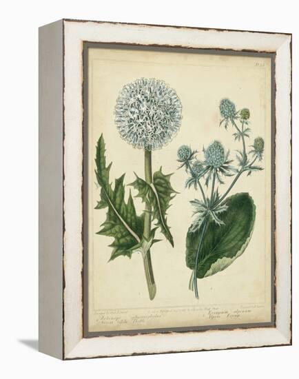Cottage Florals III-Sydenham Teast Edwards-Framed Stretched Canvas