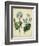 Cottage Florals III-Sydenham Teast Edwards-Framed Art Print