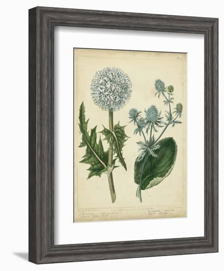 Cottage Florals III-Sydenham Teast Edwards-Framed Art Print