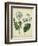 Cottage Florals III-Sydenham Teast Edwards-Framed Art Print