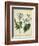 Cottage Florals III-Sydenham Teast Edwards-Framed Art Print