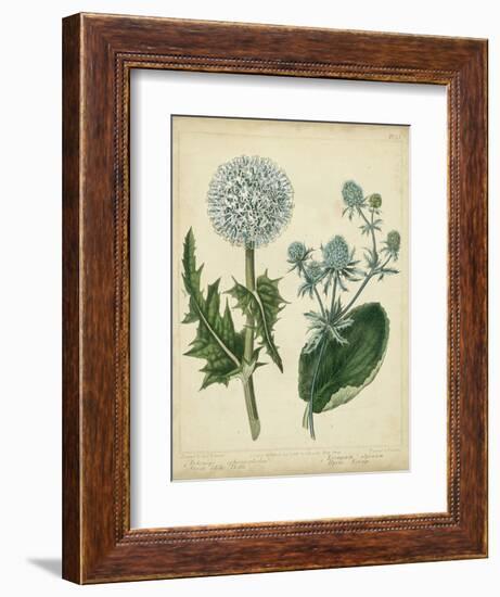 Cottage Florals III-Sydenham Teast Edwards-Framed Art Print