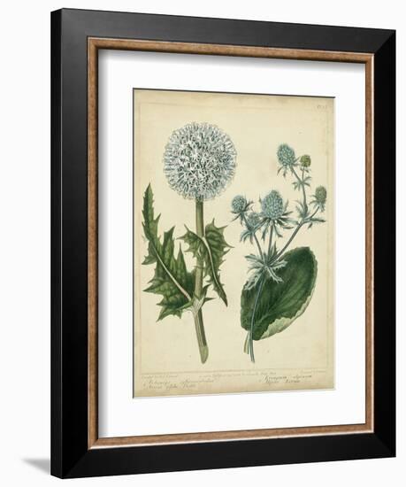 Cottage Florals III-Sydenham Teast Edwards-Framed Art Print