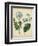 Cottage Florals III-Sydenham Teast Edwards-Framed Art Print