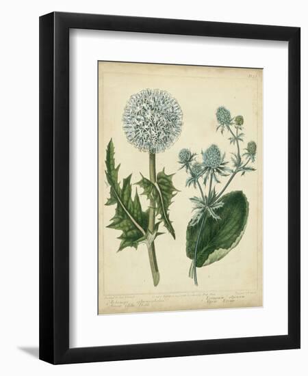 Cottage Florals III-Sydenham Teast Edwards-Framed Art Print