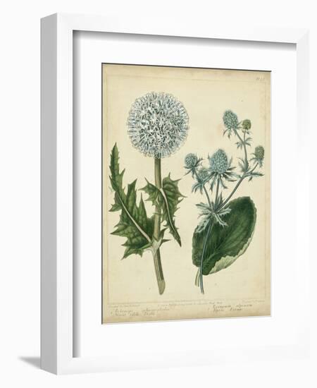 Cottage Florals III-Sydenham Teast Edwards-Framed Art Print