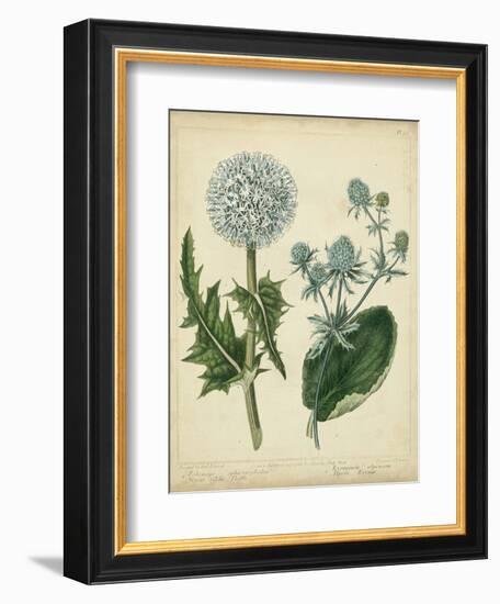 Cottage Florals III-Sydenham Teast Edwards-Framed Art Print