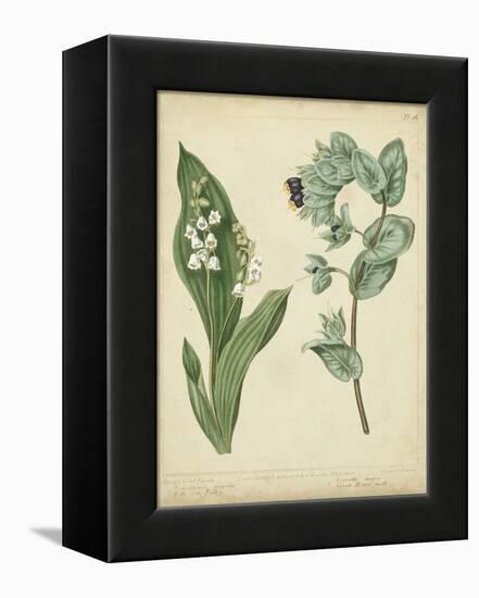 Cottage Florals IV-Sydenham Teast Edwards-Framed Stretched Canvas