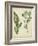 Cottage Florals IV-Sydenham Teast Edwards-Framed Art Print