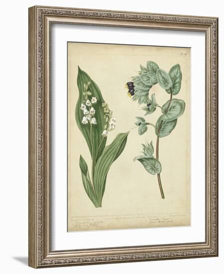 Cottage Florals IV-Sydenham Teast Edwards-Framed Art Print