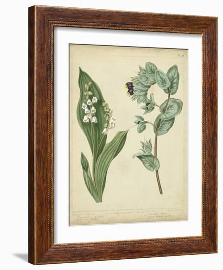 Cottage Florals IV-Sydenham Teast Edwards-Framed Art Print