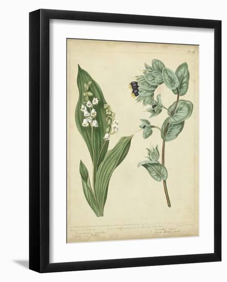 Cottage Florals IV-Sydenham Teast Edwards-Framed Art Print