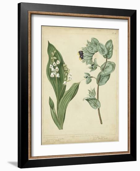 Cottage Florals IV-Sydenham Teast Edwards-Framed Art Print