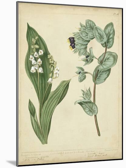 Cottage Florals IV-Sydenham Teast Edwards-Mounted Art Print