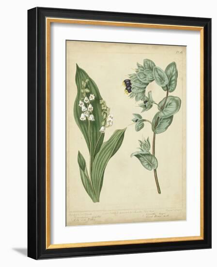 Cottage Florals IV-Sydenham Teast Edwards-Framed Art Print