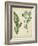 Cottage Florals IV-Sydenham Edwards-Framed Art Print