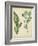 Cottage Florals IV-Sydenham Edwards-Framed Art Print