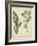 Cottage Florals IV-Sydenham Edwards-Framed Art Print