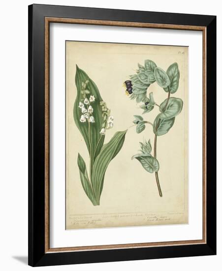 Cottage Florals IV-Sydenham Edwards-Framed Art Print